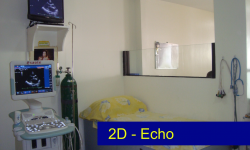 2D-echo-carousel-img